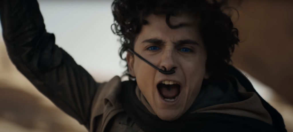Timothée Chalamet in "Dune: Part 2"
